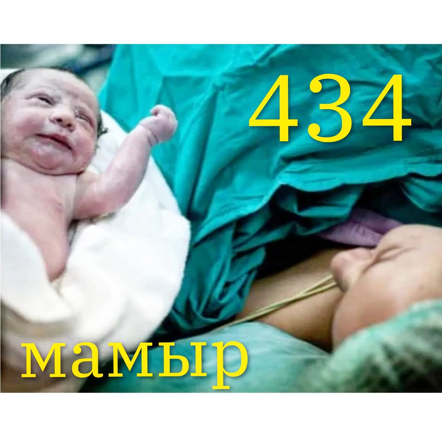 350915585_1213375189345180_1370054512810685317_n.webp